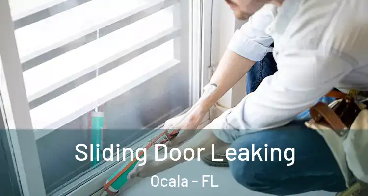  Sliding Door Leaking Ocala - FL