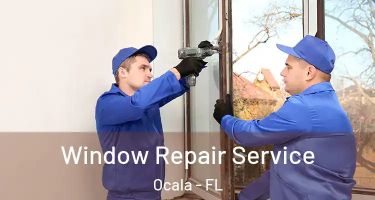  Window Repair Service Ocala - FL